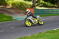 cadwell-no-limits-trackday;cadwell-park;cadwell-park-photographs;cadwell-trackday-photographs;enduro-digital-images;event-digital-images;eventdigitalimages;no-limits-trackdays;peter-wileman-photography;racing-digital-images;trackday-digital-images;trackday-photos
